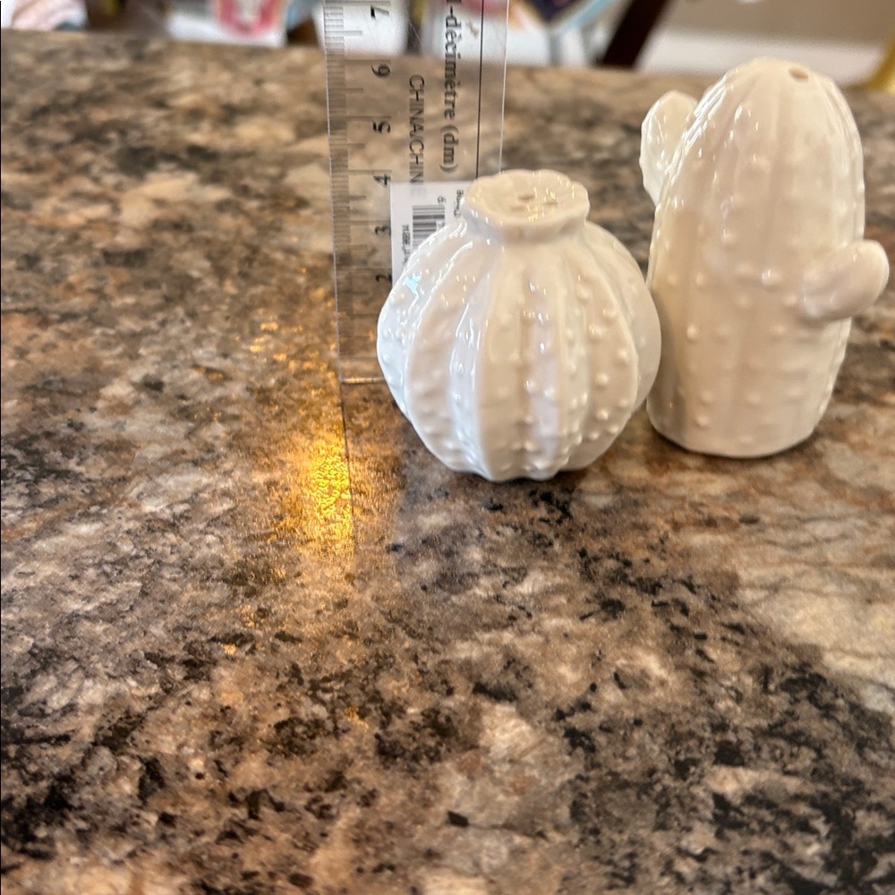 2/$10 Mini White Ceramic Cactus Salt and Pepper Shaker Set - Picture 4 of 4